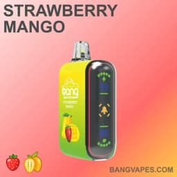 Product thumbnail - 1