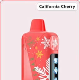 Product thumbnail - 1