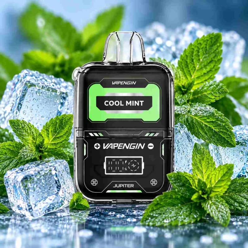 Cool Mint - Vapengin Jupiter 6500 Puffs - VapeSoko